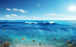 世界上最大的海洋