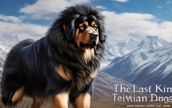 世界上仅存的一只藏獒之王，为何独存于世？